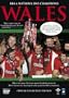 Wales - RBS 6 Nations 2013 Champions [DVD]