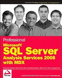 Professional Microsoft SQL Server Analysis Services 2008 with MDX (Wrox Programmer to Programmer)