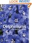 Delphiniums