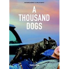 A Thousand Dogs (Taschen 25th Anniversary)