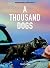 1000 Dogs (Klotz)