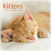KITTENS 2010 MINI Calendar