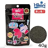 キンギョのエサお炭つき４０ｇ