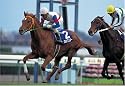 300ピース グラスワンダー '98有馬記念 300-230