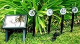 51a jUWex0L. SL160  Plastic Wired Connect Solar Panel Solar Spot Light