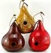 Gourd Birdhouse in Red, Natural Garden Decor, Bird House Gifts, 1 1/2
