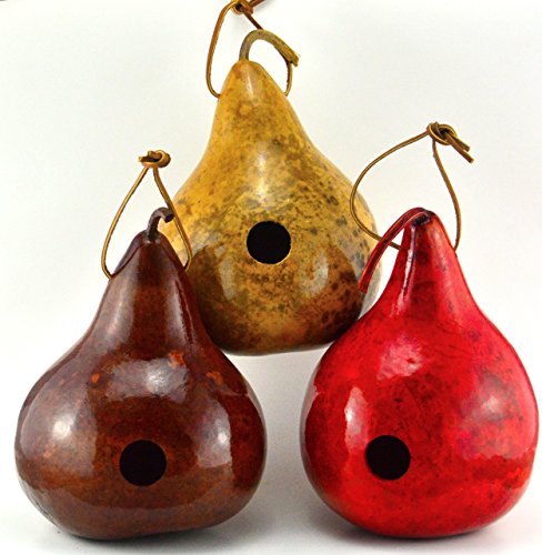 Gourd Birdhouse in Red, Natural Garden Decor, Bird House Gifts, 1 1/2