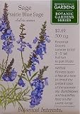Prairie Blue Sage Botanic Gardens Series Seeds 75 Seeds