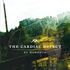 The Cardiac Defect