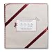 Organic Cotton Ultimate Receiving Blanket with Strawberry Trim by SwaddleDesigns