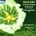 Mozart: Clarinet/Flute and Harp Concerto