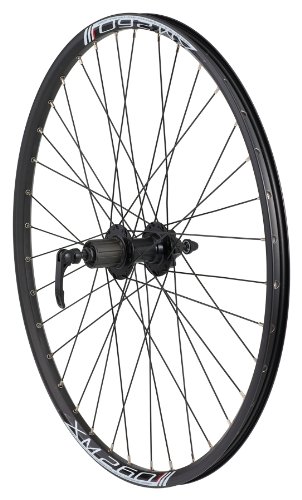Avenir Joytec/Weinmann 36H QR Rear Wheel with XM-260 8/9 Speed Cassette Compatible Hub, Disc Brake Only (Black, 26-Inch x 26mm)