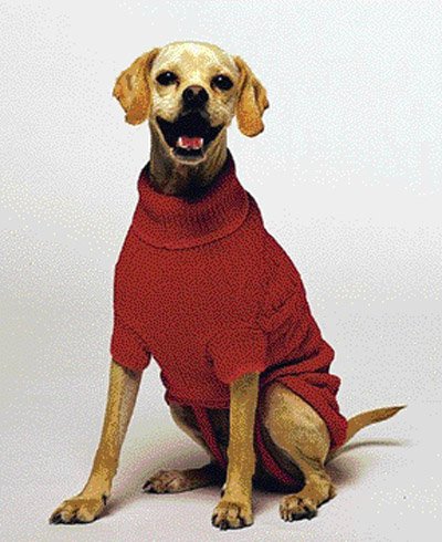Fashion Pet Classic Medium Cable Dog Sweater, 