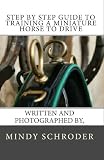 Step By Step Guide to Training A Miniature Horse To Drive