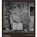 Roger Ballen: Boarding House