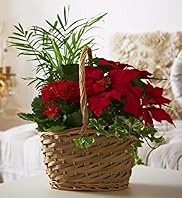 Classic Willow Basket
