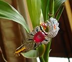 Bracelets - Peacock bracelet