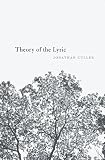 Theory of the lyric