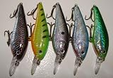 5 Custom Shad Lures - Plugs Crankbaits Bass Fishing Set L5AB