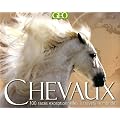 Chevaux : 100 races exceptionnelles � travers le monde