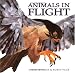 Animals in Flight