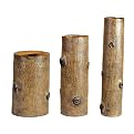 Branch Vases Collection