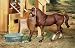 Horse stuff  you MUST get for  your kids