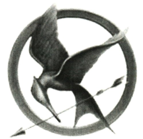 Hunger Games Temporary Tattoo (Set of 5)