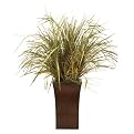 Mixed Grasses in Planter - 42"