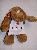 Turtle plush toy with I Love Leslie Bib