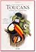 Family of Toucans