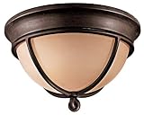 Minka Lavery Lights 976-1-138 Flush Mount - Aspen Bronze Rustic Lighting