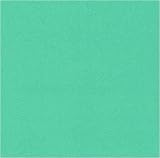 200 Thread Count Supreme Cotton Broadcloth Spring Green