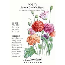 Heirloom Poppy Peony Double Blend Heirloom Seeds 600 Seeds