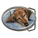 Limited Edition Violano Belt Buckle Dachshund Puppy