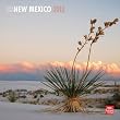 Wild & Scenic New Mexico 2013 Calendar