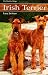Irish Terrier (World of Dogs)