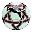 PUMA Herren Fu&szlig;ball Esito XL, white-pompeian red-black, 5