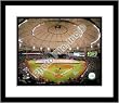 2008 Tropicana Field Tampa Bay Rays MLB Framed 8x10 Photograph 2008 World Series Game 1 Flag