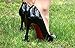 Heels Above High Heel Protectors (2 Pairs) Plus Bonus Carrying Pouch - Never Sink into Grass Again.