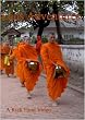 Laos Adventures