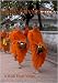 Laos Adventures