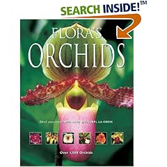 Flora's Orchids