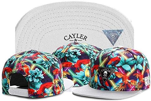 Win Cap : Hot Style B28 Cayler &amp; Son Kush Biggie Baseball Snapback Hats