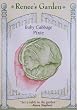 Baby Cabbage Pixie Seeds