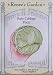 Baby Cabbage Pixie Seeds