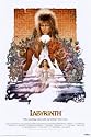Labyrinth Decorative Art Poster Print, 24x36