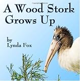 A Wood Stork Grows Up