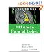 The Human Frontal Lobes, Second Edition: Functions and Disorders (The Science and Practice of Neuropsychology)
