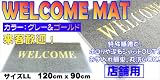 店舗業務用ウエルカム玄関マットLL G
